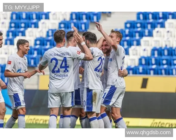 霍芬海姆对阵沙尔克04精彩在线直播全程回顾与赛后分析